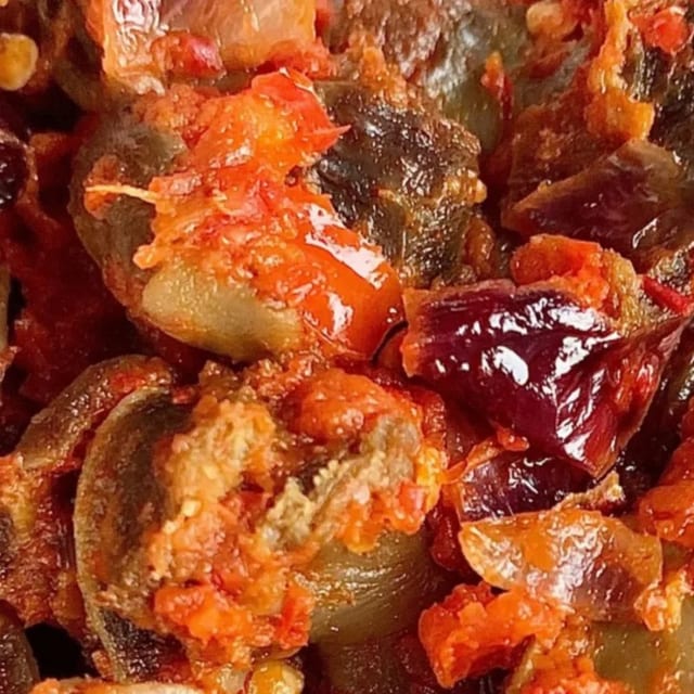 Peppered Gizzard.